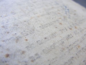 biblioteca 110 copy.jpg